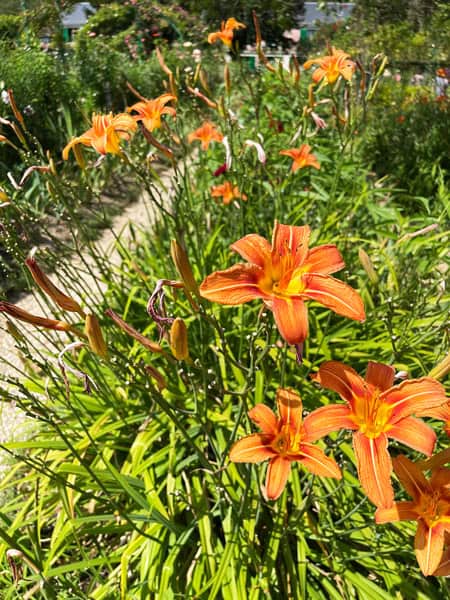 Visitare la Casa di Monet e i giardini a Giverny 4 Casa di Monet e giardino
