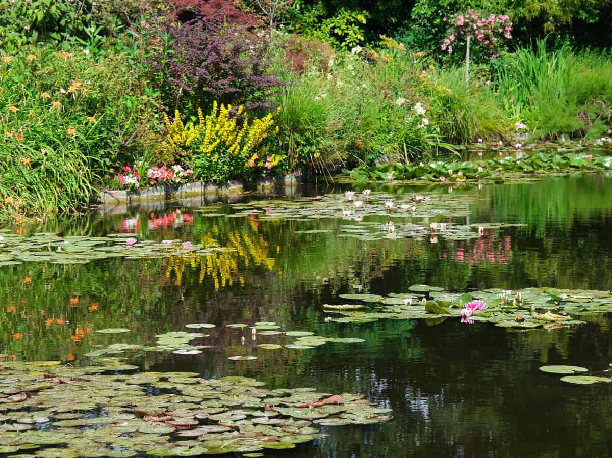 Visitare la Casa di Monet e i giardini a Giverny 32 Famoso giardino in Normandia
