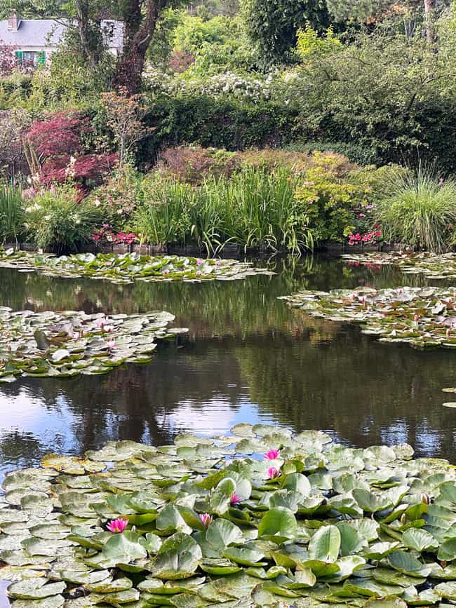 Visitare la Casa di Monet e i giardini a Giverny 28 Giardino con le ninfee Giverny