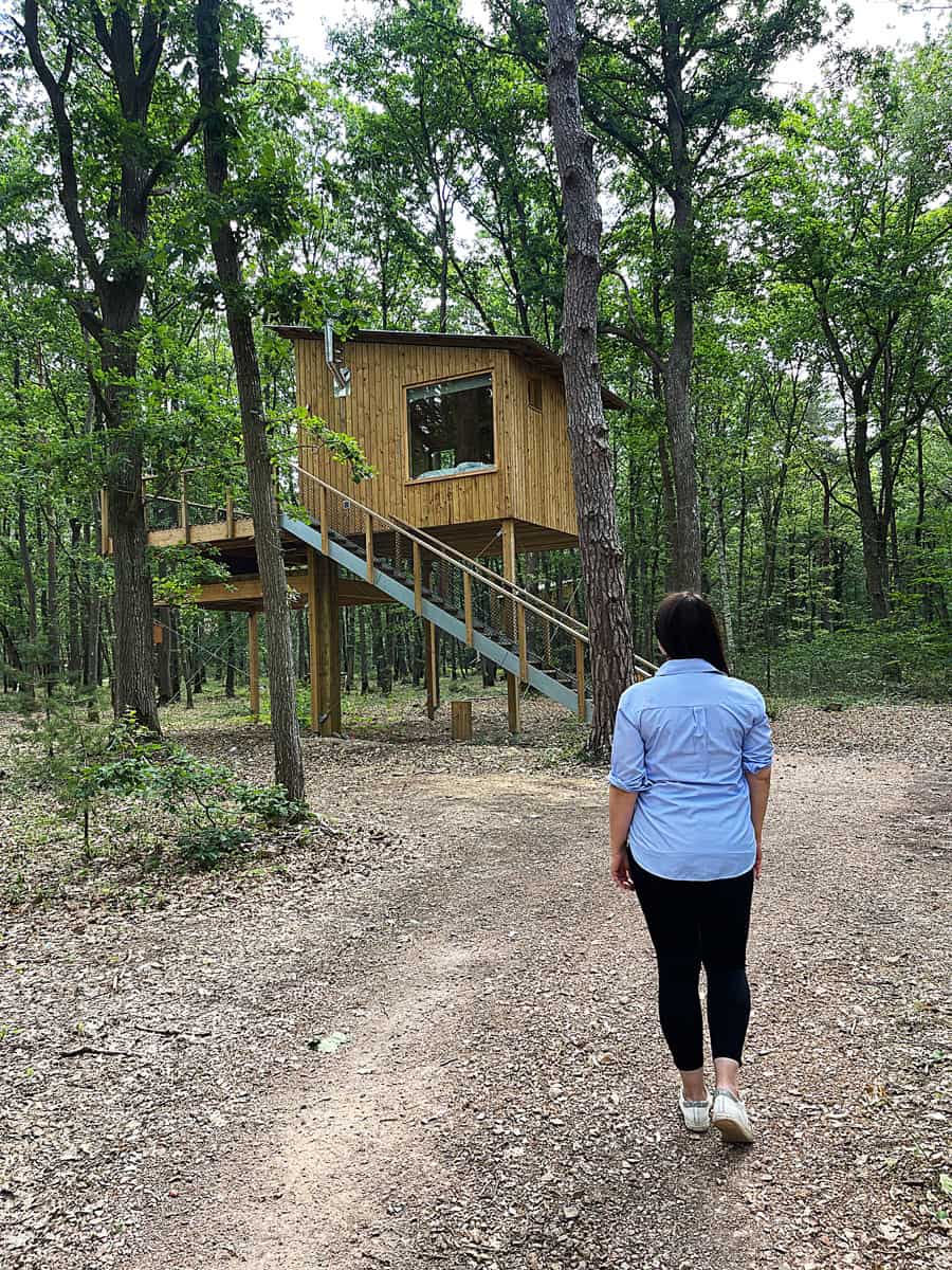 Youza Ecolodge Normandia: dormire vicino Parigi immersi in una foresta 5 Alloggi particolari Francia