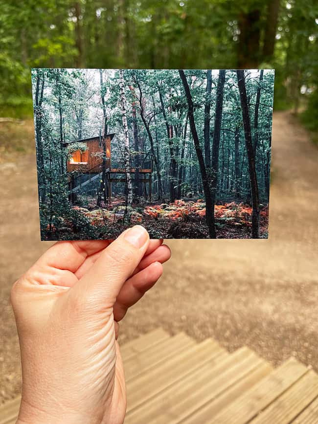 Youza Ecolodge Normandia: dormire vicino Parigi immersi in una foresta 8 Cartolina con Youza Ecolodge