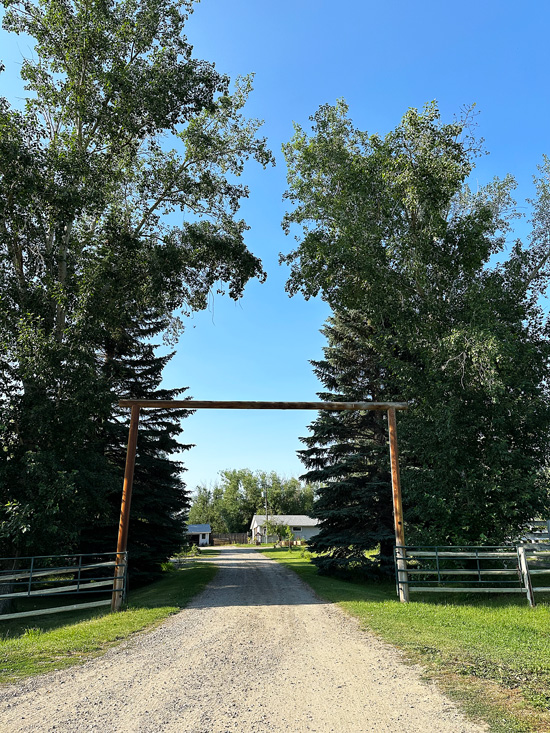 Cosa vedere a Calgary: visita alla città dei cowboy e gateway ai parchi dell’Alberta 101 Dormire fuori Calgary in un ranch