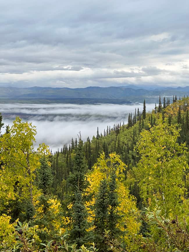 Viaggio nello Yukon Canada: cosa devi sapere prima di organizzare il viaggio 38 Strada verso Keno
