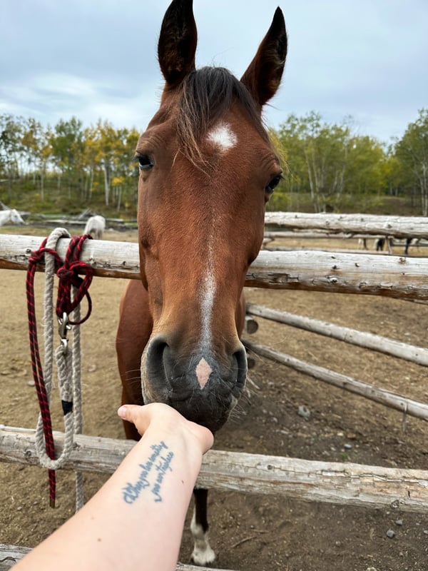 Dormire in un ranch in Canada: 3 posti da non perdere tra British Columbia e Alberta 43 Dormire in un ranch in Canada: 3 posti da non perdere tra British Columbia e Alberta 11