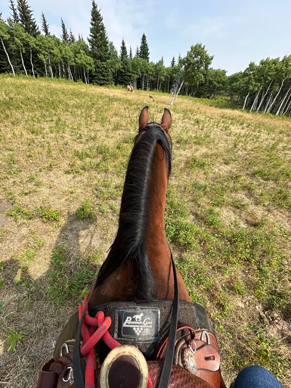 Dormire in un ranch in Canada: 3 posti da non perdere tra British Columbia e Alberta 19 Escursione a cavallo