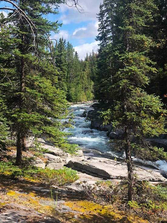 Cosa vedere al Jasper National Park, guida completa al parco più selvaggio delle Rockies 29 Trail Maligne Canyon