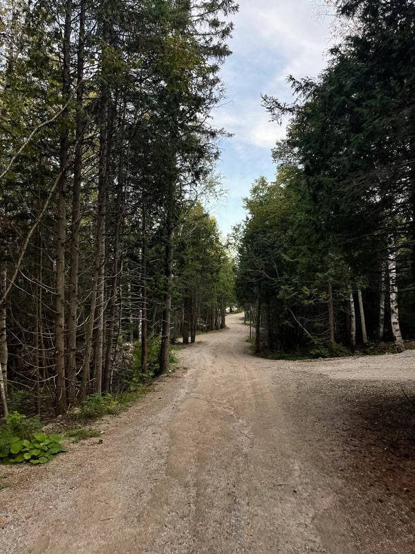 Repere Boreal: dormire in uno degli alloggi insoliti più belli del Quebec 4 Foresta Quebec