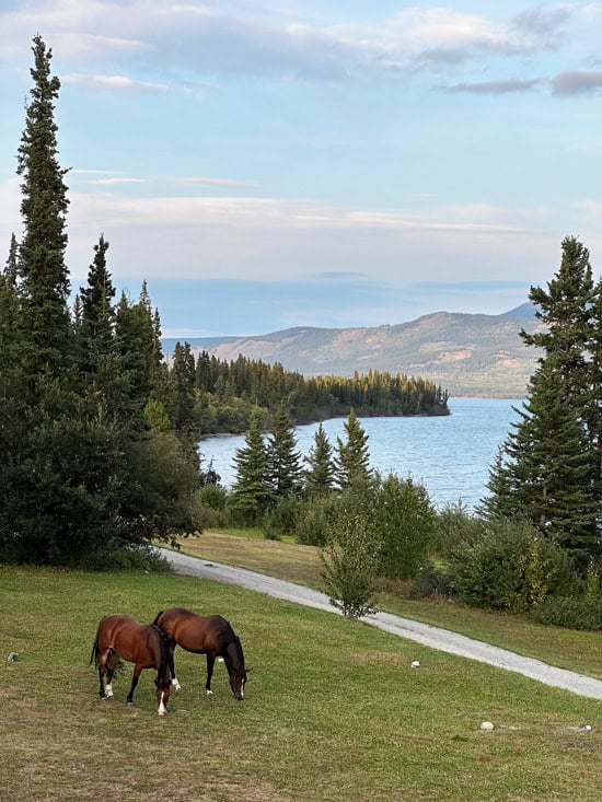 6 lodge in Canada esclusivi dove dormire e vivere un'esperienza unica 44 6 lodge in Canada esclusivi dove dormire e vivere un'esperienza unica 6