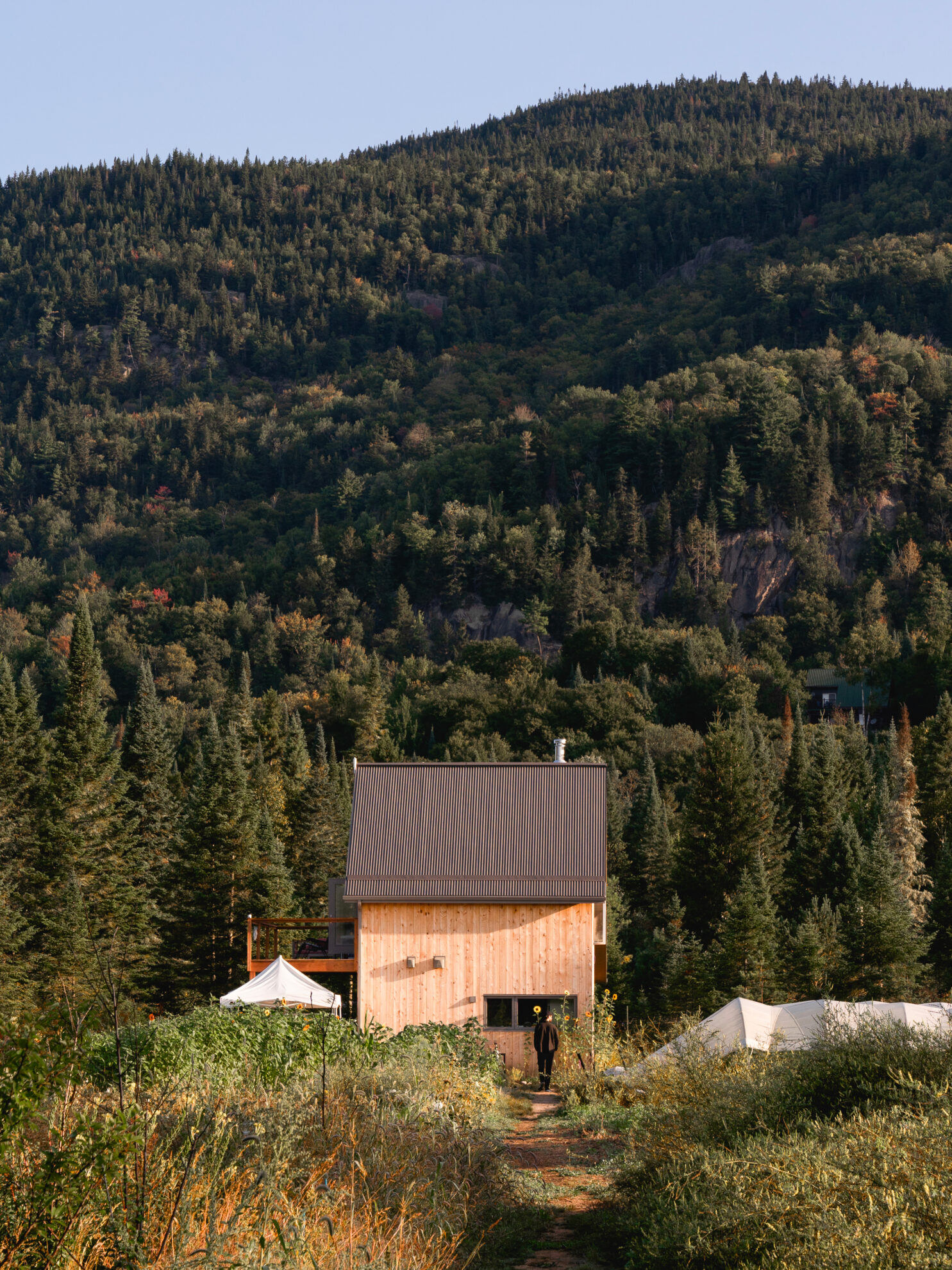 Farouche Mont Tremblant: dormire in piccole A-frame circondati dalle montagne in Quebec 30 Fattoria Nordica