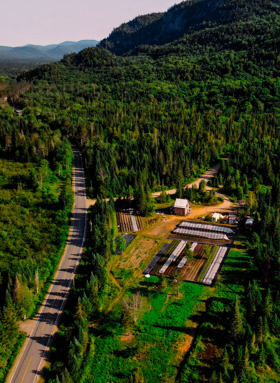 Farouche Mont Tremblant: dormire in piccole A-frame circondati dalle montagne in Quebec 29 Posti speciali in Quebec