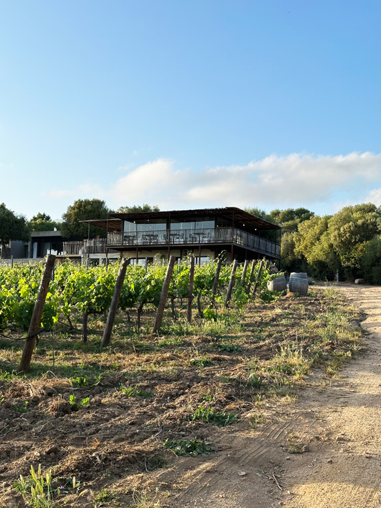 Viaggio in Corsica: cosa vedere in 3 giorni, itinerario gourmet 59 Hotel con vigna Corsica