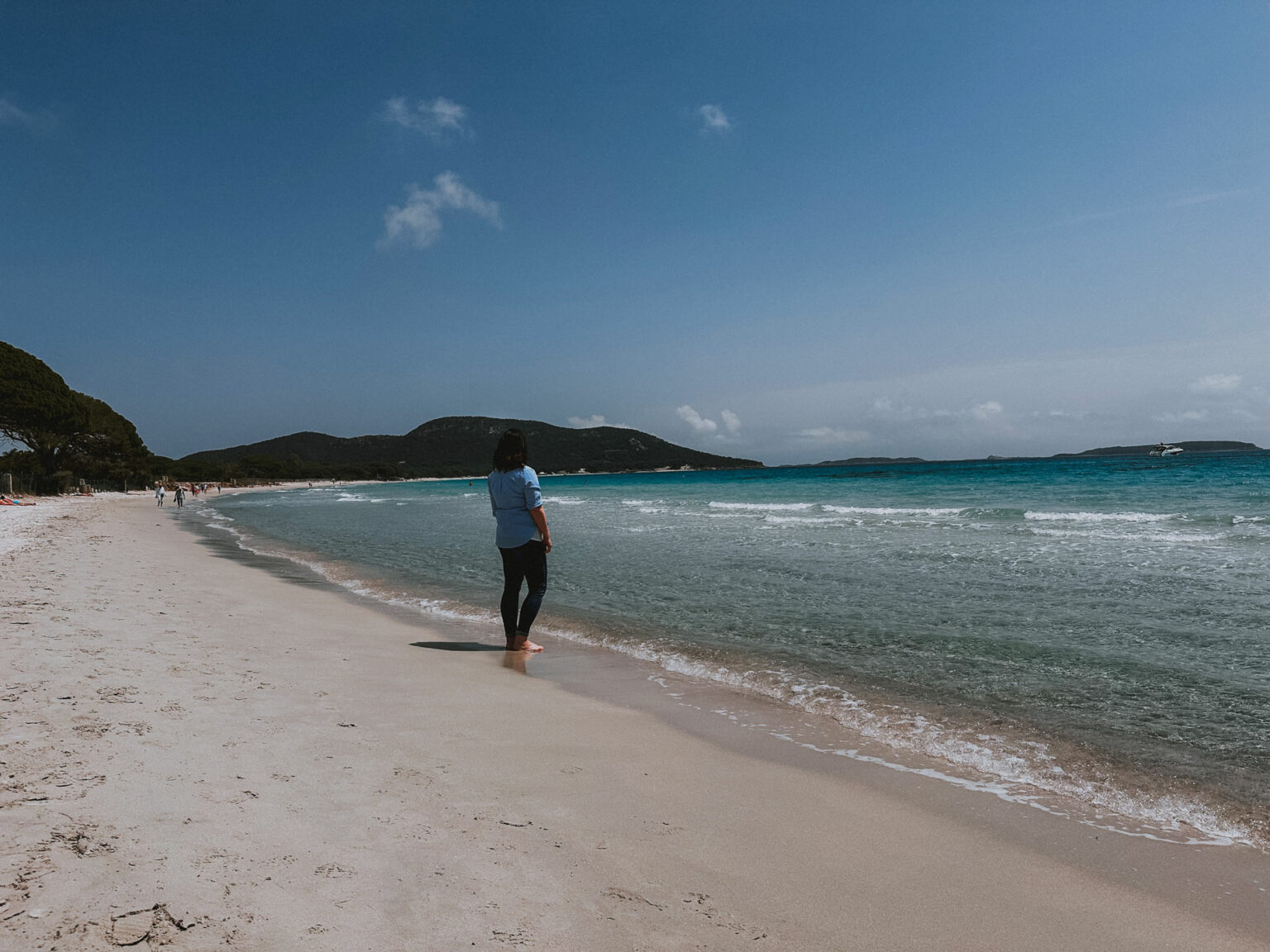 Viaggio in Corsica: cosa vedere in 3 giorni, itinerario gourmet Viaggio in Corsica cosa vedere