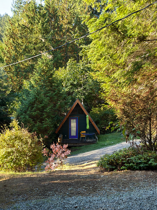 Dormire sulla Sunshine Coast in British Columbia: 4 alloggi da non perdere 24 Alloggi Strong Water Cabin