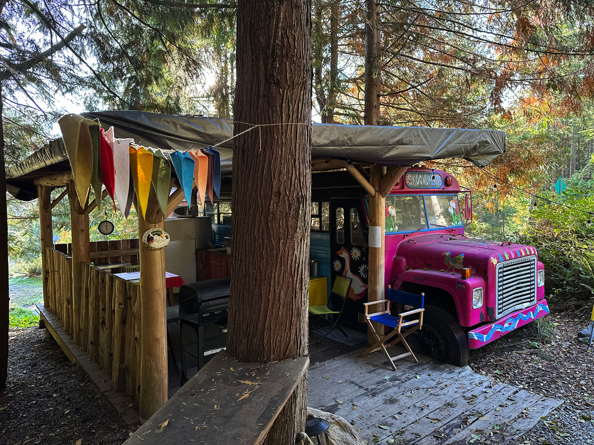 Dormire sulla Sunshine Coast in British Columbia: 4 alloggi da non perdere 29 Spazio dove cucinare Strong Water Cabin