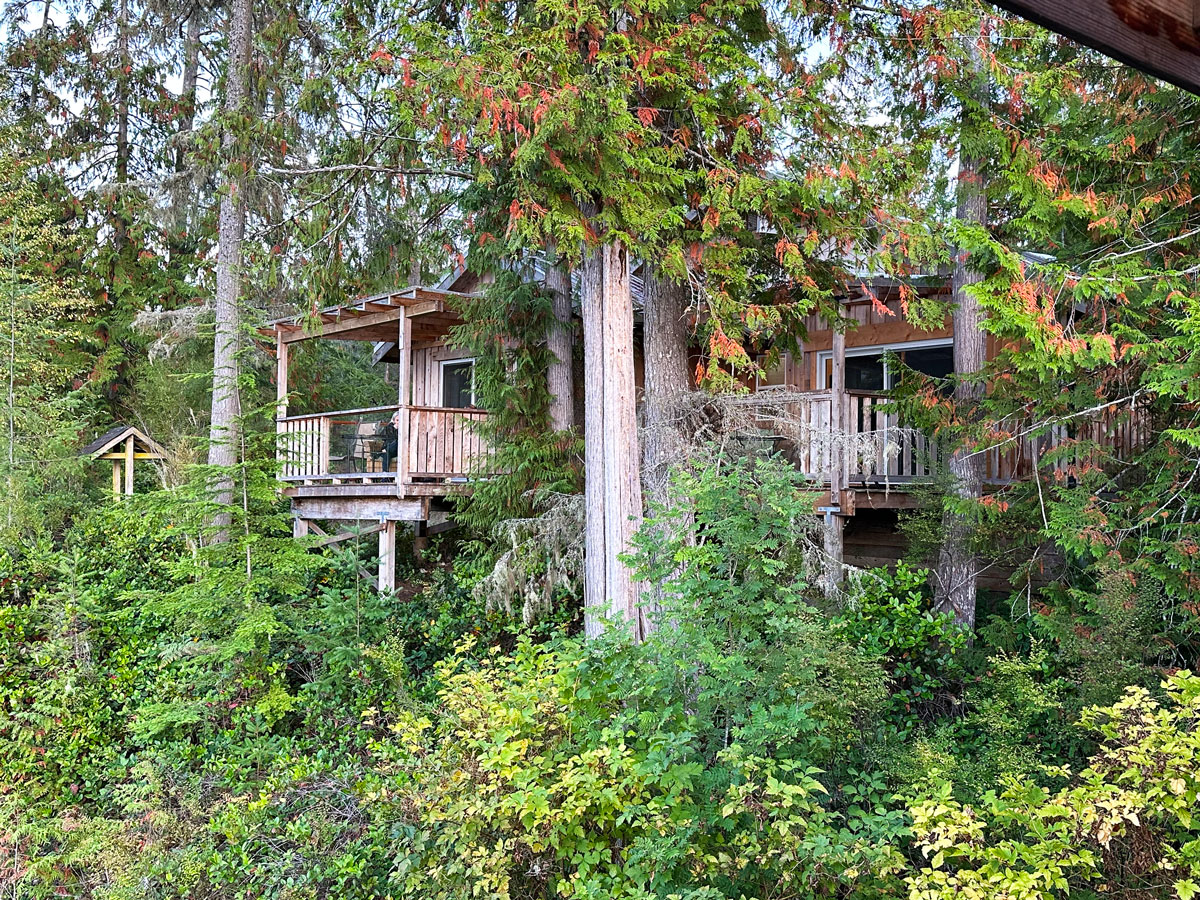 Dormire sulla Sunshine Coast in British Columbia: 4 alloggi da non perdere 46 Alloggio immerso nella natura Canada