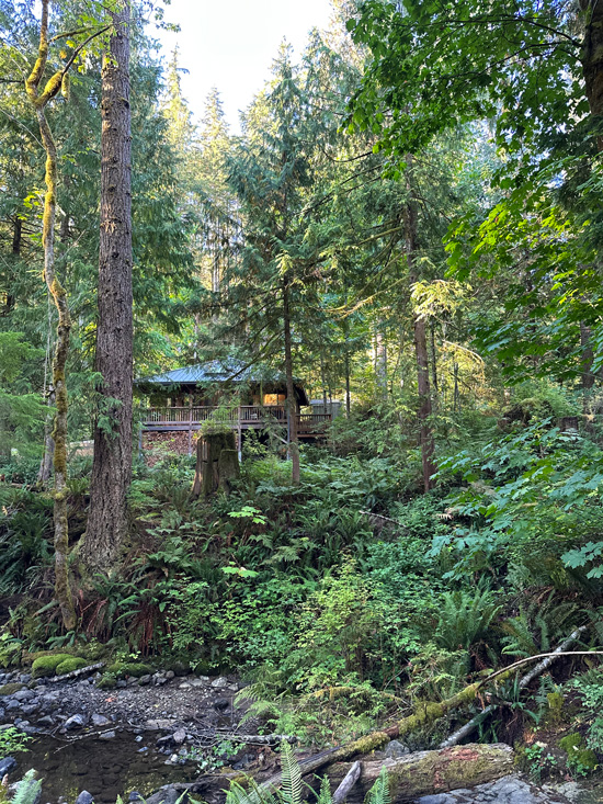 Dormire sulla Sunshine Coast in British Columbia: 4 alloggi da non perdere 30 bakery nella foresta pluviale