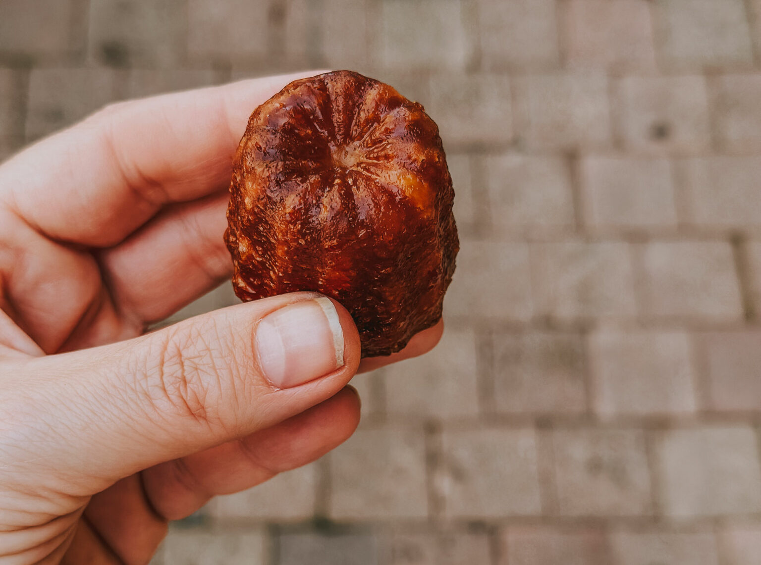 7 esperienze gourmet tra Bordeaux e Dordogna per un viaggio tra i sapori locali Esperienze gourmet tra Bordeaux e Dordogna