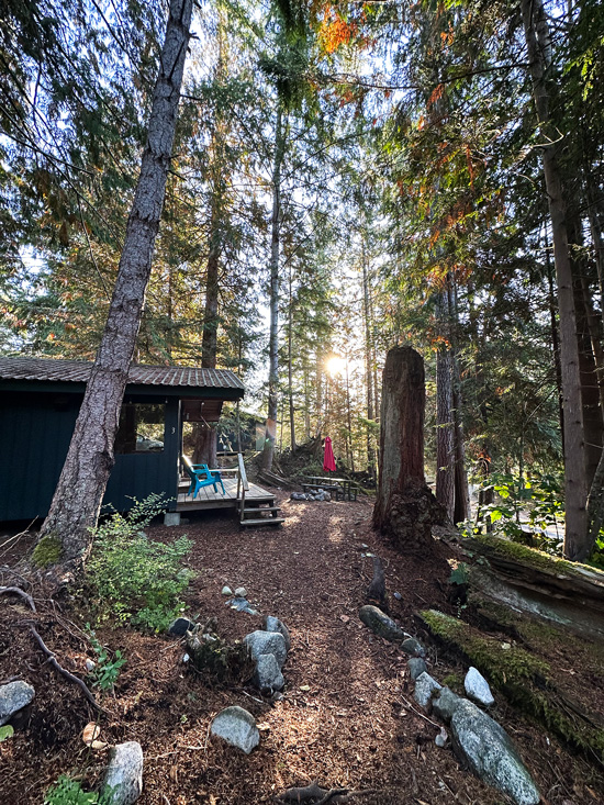 Dormire sulla Sunshine Coast in British Columbia: 4 alloggi da non perdere 21 Cabin nella foresta canada