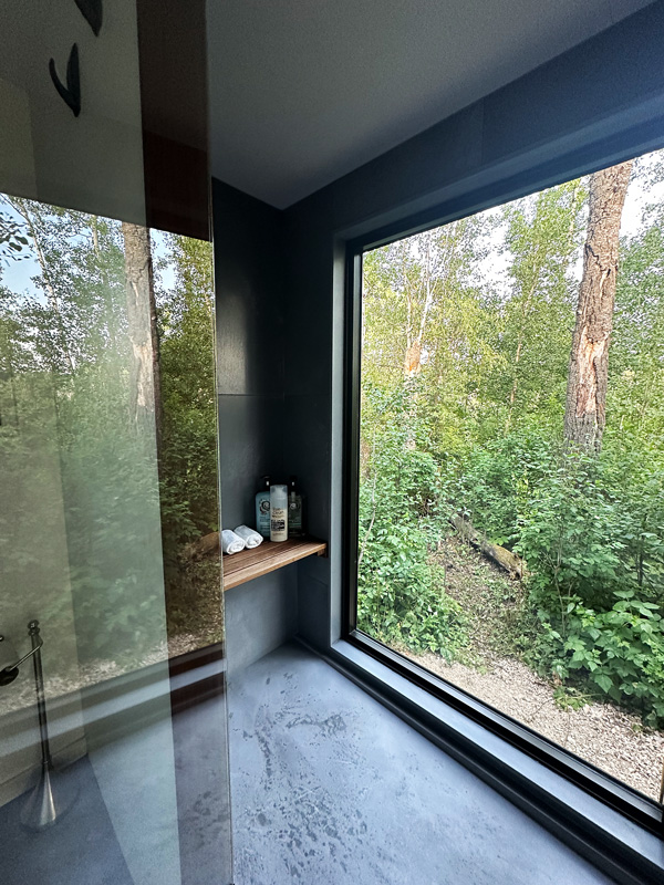 Refuge Bay: Dormire in una Tiny House in Alberta 37 Doccia trasparente