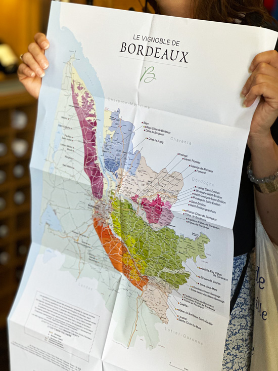 7 esperienze gourmet tra Bordeaux e Dordogna per un viaggio tra i sapori locali 9 Mappa vini Francesi