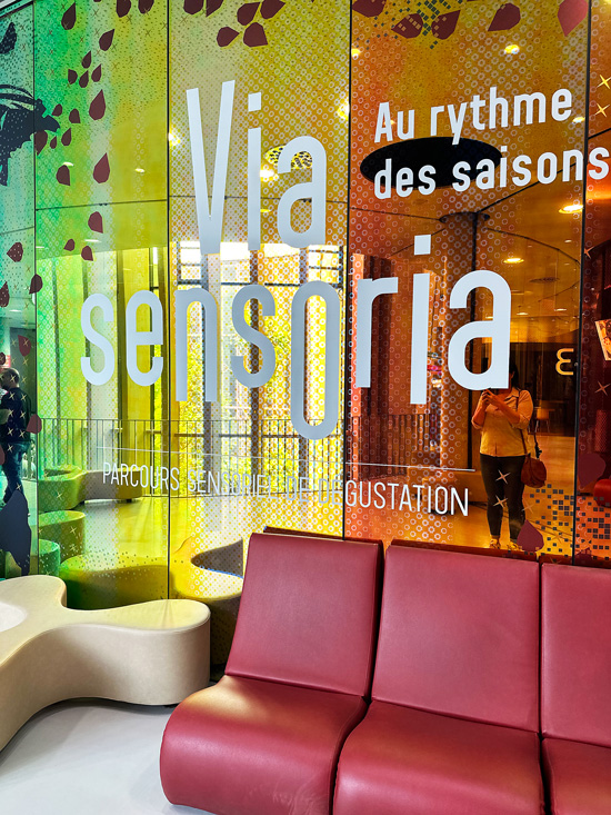 7 esperienze gourmet tra Bordeaux e Dordogna per un viaggio tra i sapori locali 6 Via Sensoria Bordeaux