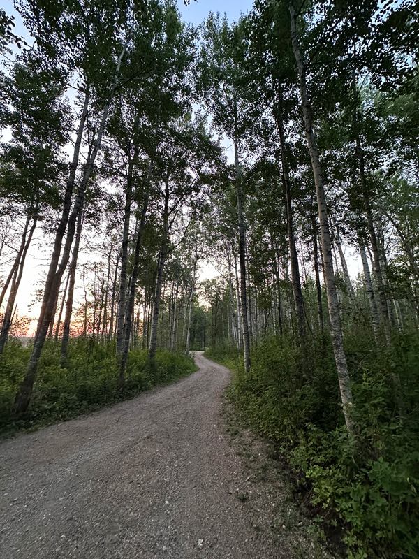 Refuge Bay: Dormire in una Tiny House in Alberta 29 percorso nella foresta