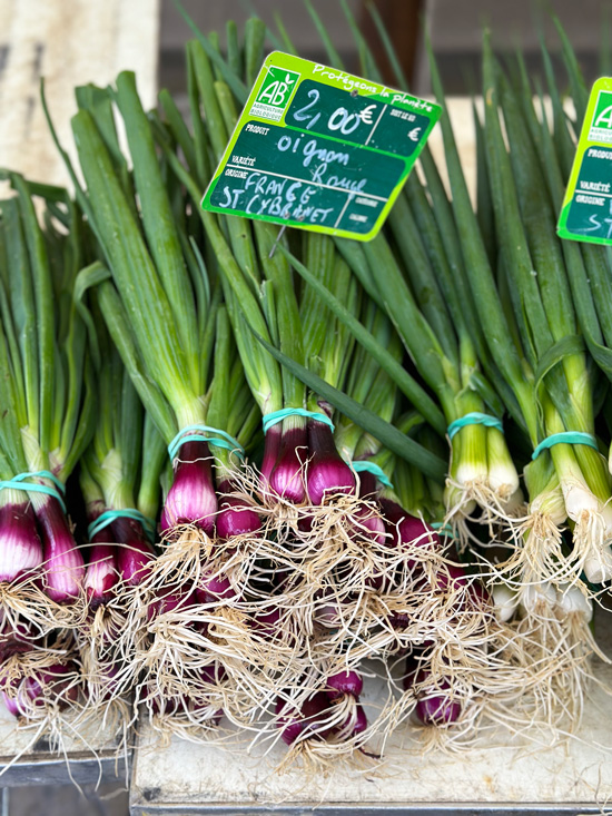 7 esperienze gourmet tra Bordeaux e Dordogna per un viaggio tra i sapori locali 50 Mercati della Francia