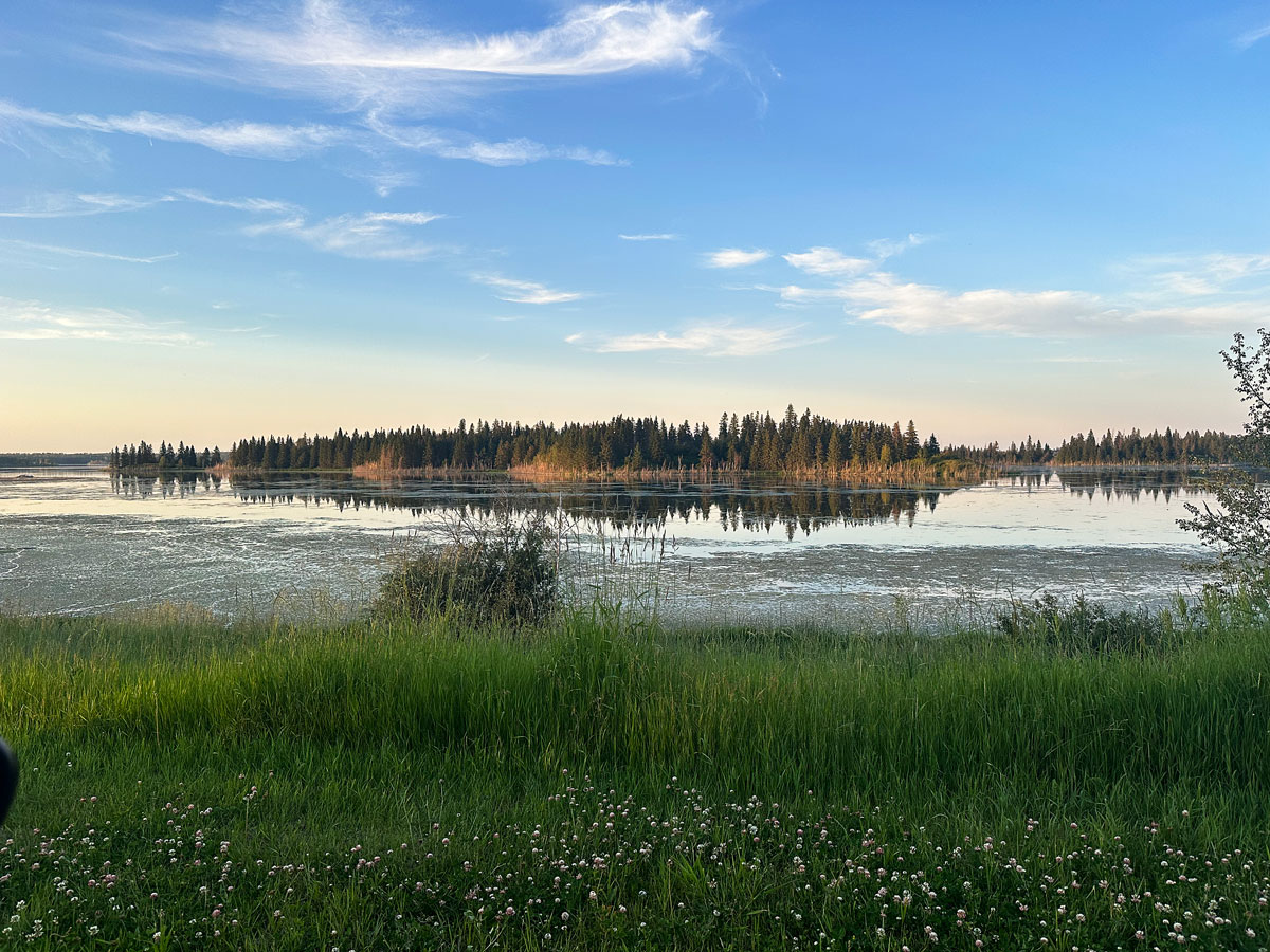 Elk Island Retreat: Dormire a Due Passi dal Parco dei Bisonti in Alberta 28 Elk Island Provincial Park parco a nord del Canada