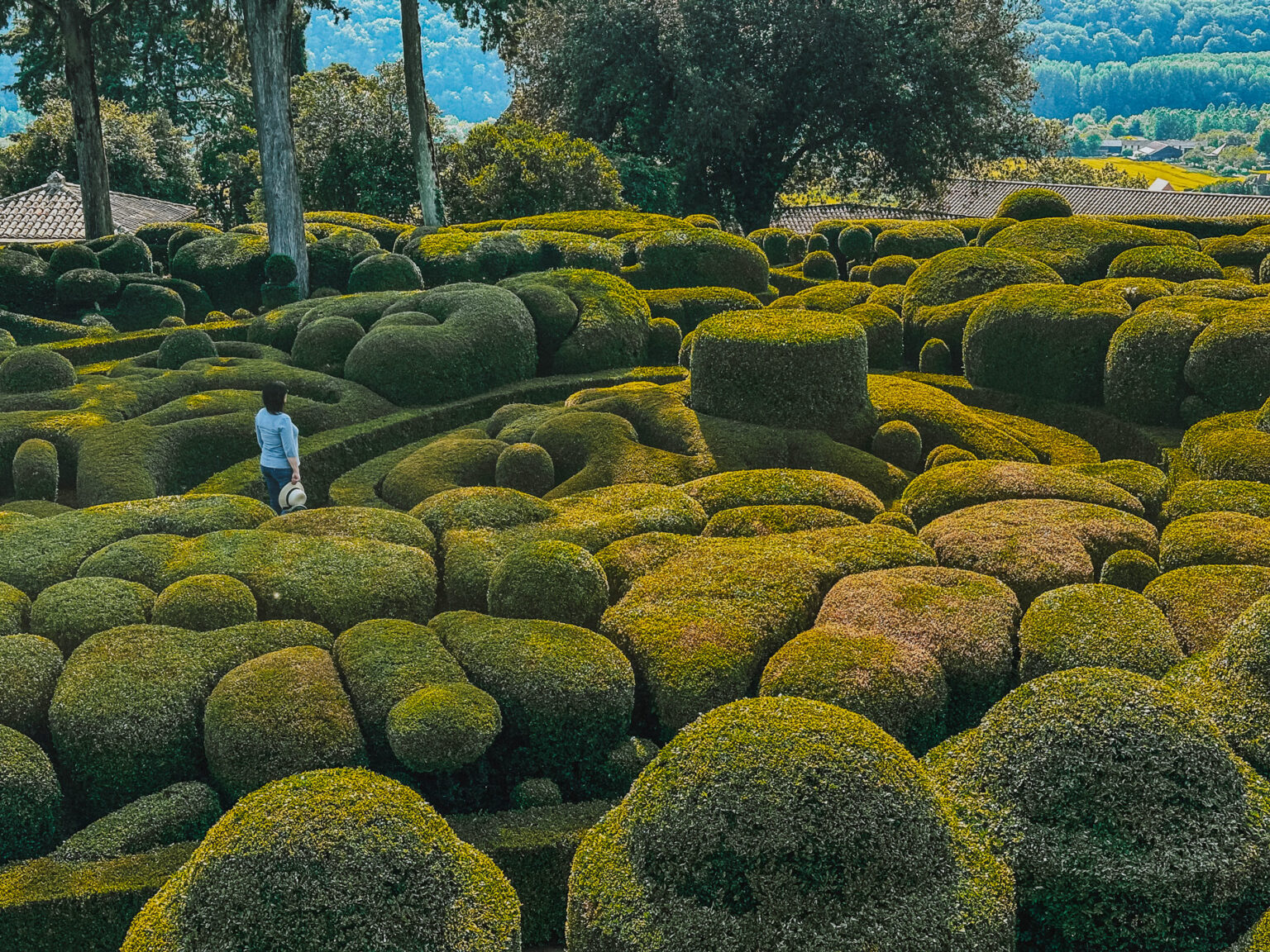 Cosa vedere in Dordogna e nel Périgord: itinerario Gourmet tra Villaggi Medievali, Castelli e Giardini Segreti Cosa vedere in Dordogna e nel Périgord