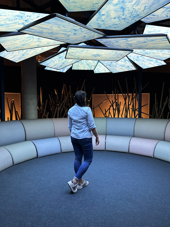 Cosa vedere in Dordogna e nel Périgord: itinerario Gourmet tra Villaggi Medievali, Castelli e Giardini Segreti 10 Esperienze al museo del vino Bordeaux