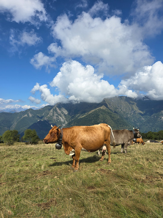 Alpe Giumello: Guida completa per una gita o weekend in montagna unico 5 Montagne vicino lecco