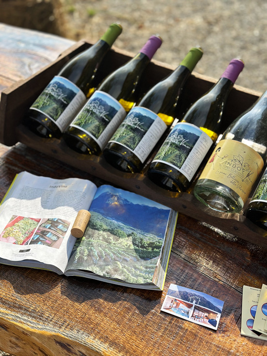 Alpe Giumello: Guida completa per una gita o weekend in montagna unico 53 Vino della Valsassina