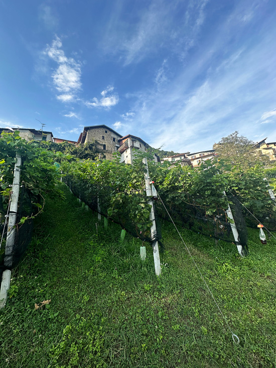 Alpe Giumello: Guida completa per una gita o weekend in montagna unico 52 Indovino Indovero
