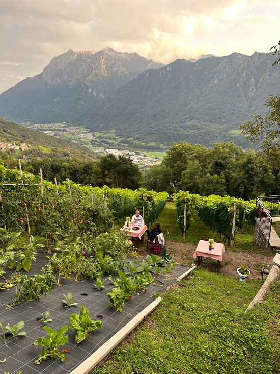 Alpe Giumello: Guida completa per una gita o weekend in montagna unico 55 Aperitivo in Valsassina