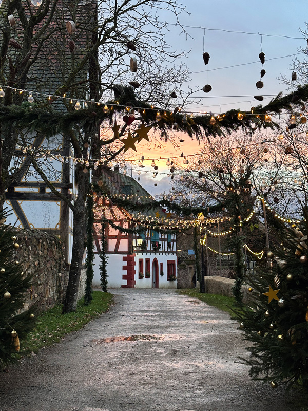 Cosa vedere in Alsazia a Natale: itinerario alternativo tra mercatini di Natale, vino e alloggi insoliti 74 Villaggio alsaziano