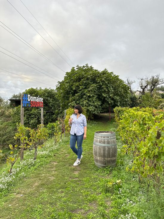 Dove mangiare a Nizza: week end in Costa Azzurra alla scoperta della cucina nizzarda 26 Azienda vinicola sulle colline di Nizza