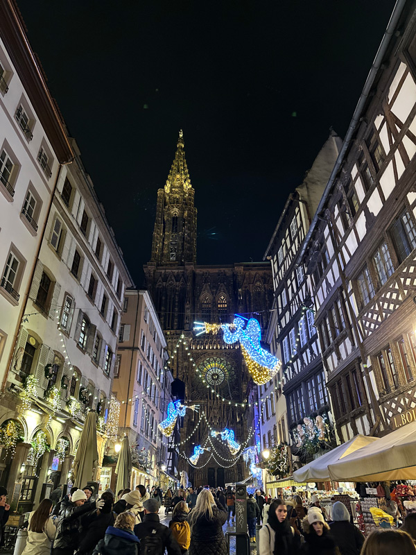 Cosa vedere in Alsazia a Natale: itinerario alternativo tra mercatini di Natale, vino e alloggi insoliti 41 Strasburgo mercatini di Natale