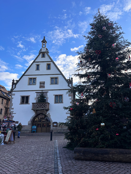 Cosa vedere in Alsazia a Natale: itinerario alternativo tra mercatini di Natale, vino e alloggi insoliti 11 Paesini da visitare in Alsazia a Natle
