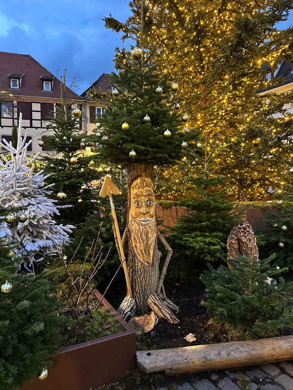 Cosa vedere in Alsazia a Natale: itinerario alternativo tra mercatini di Natale, vino e alloggi insoliti 60 Selestat a Natale