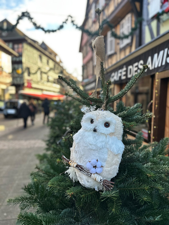 Cosa vedere in Alsazia a Natale: itinerario alternativo tra mercatini di Natale, vino e alloggi insoliti 15 Alsazia a Natale