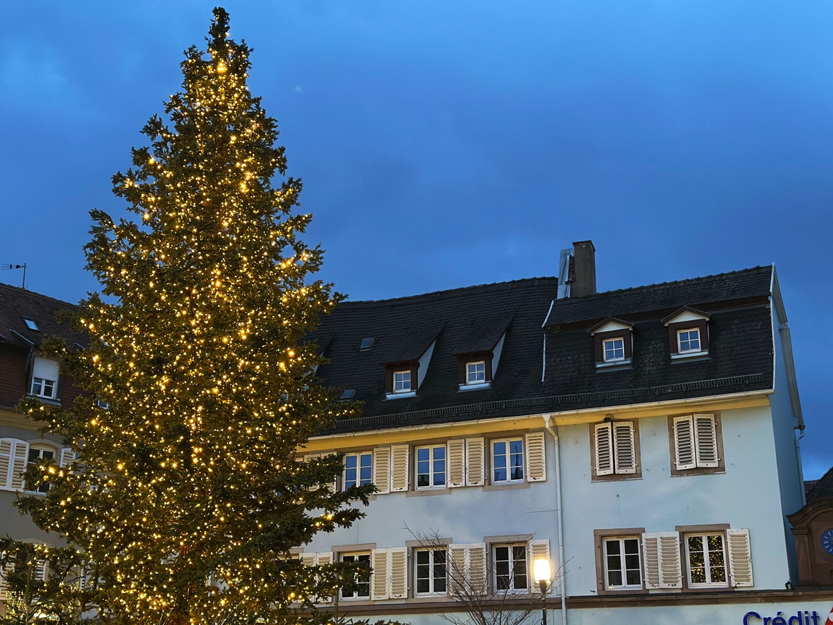 Cosa vedere in Alsazia a Natale: itinerario alternativo tra mercatini di Natale, vino e alloggi insoliti 50 Sove è nato l'albero di Natale