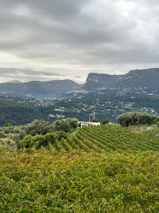 Dove mangiare a Nizza: week end in Costa Azzurra alla scoperta della cucina nizzarda 30 Colline di Nizza