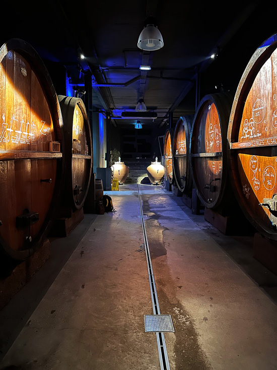 Cosa vedere in Alsazia a Natale: itinerario alternativo tra mercatini di Natale, vino e alloggi insoliti 86 Cantine vino Alsazia