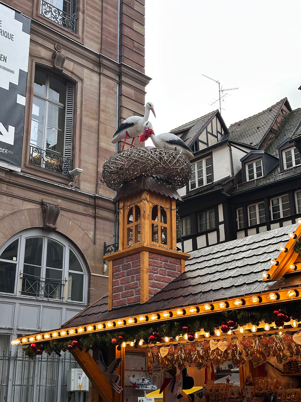 Cosa vedere in Alsazia a Natale: itinerario alternativo tra mercatini di Natale, vino e alloggi insoliti 46 Città delle Cicogne Francia