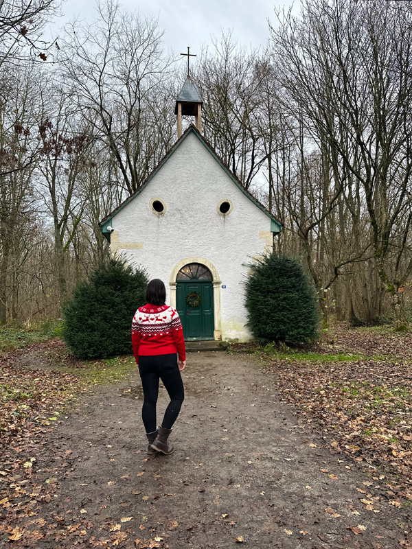 Cosa vedere in Alsazia a Natale: itinerario alternativo tra mercatini di Natale, vino e alloggi insoliti 75 post sconosciuti in Alsazia