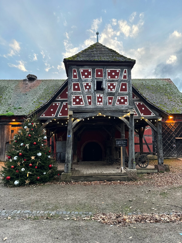 Cosa vedere in Alsazia a Natale: itinerario alternativo tra mercatini di Natale, vino e alloggi insoliti 80 Villaggio storico Alsazia
