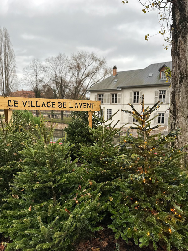 Cosa vedere in Alsazia a Natale: itinerario alternativo tra mercatini di Natale, vino e alloggi insoliti 48 Villaggio dell'Avvento