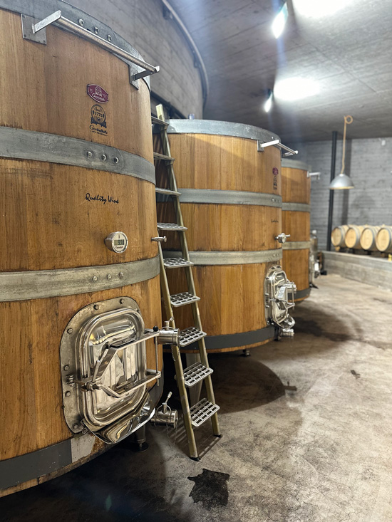 Cosa fare a Crans-Montana: guida completa alla cittadina nel cuore delle Alpi Svizzere 44 Cantine della Svizzera
