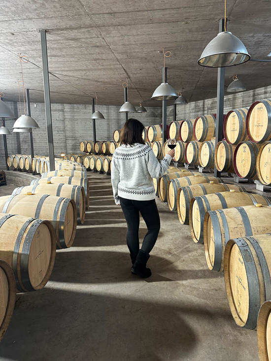 Cosa fare a Crans-Montana: guida completa alla cittadina nel cuore delle Alpi Svizzere 45 Vino della Svizzera