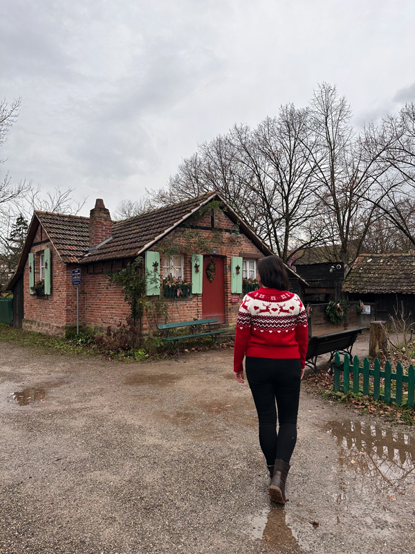 Ecomuseo d’Alsazia: il museo a cielo aperto più grande di Francia è un villaggio fiabesco bellissimo 4 Villaggio in Alsazia da visitare